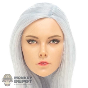 Monkey Depot - Head: YM Toys Silver Hair Assassin